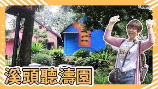 Nantou Xitou: Tingtaoyuan Resort | One Park and Two Food | Stay at Fengqiao Bamboo Dream Garden