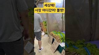 사장 어디 갔어! 불쌍 안팔려! # #시장 #맛집 #먹방 #먹거리 #쇼핑 #폭락