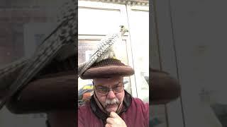 gyr giving semen