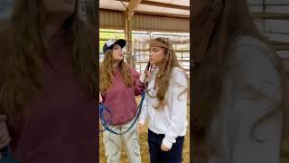 These Show Horses Can’t Stop Laughing!  #shorts #animals #horse