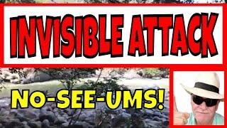 “I Tried to Relax at the River… INVISIBLE BUGS ATTACKED! (Geno Perez vs. No-See-Ums)”