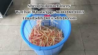 Big capacity pawpaw chips cutting machine/ potato chips cutting machine