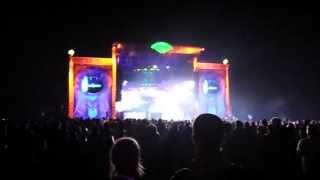 Benny Benassi @ Electric Forest 2013 - Intro (Part 1)