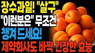 [건강정보] 장수과일! 살구 "이런분은"무조건 드세요! 살구의 놀라운 효능 과 같이 먹으면 좋은 3가지 식품을 소개 합니다