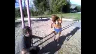 Huge Dog Tommy Swinging on park swing part 3