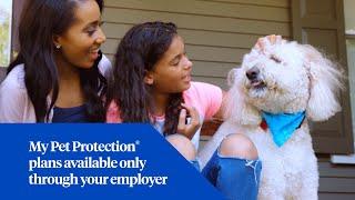 My Pet Protection | Employees | PetBenefitsPortal.com