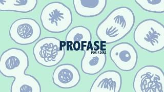 profase