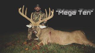 "MEGA Ten" Velvet Whitetail GIANT