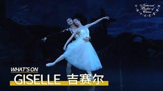 Giselle at the Tianqiao Theater: NBC's New "Giselle" and New "Albrecht" Make Their Stunning Debut