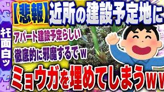 【ｷﾓ面白い2chスレ】【悲報】ワイ、近所の建設予定の土地にミョウガを埋めてしまうｗｗｗｗ【ゆっくり解説】