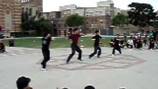 Wushu - Forms