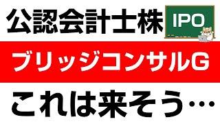 初心者でもわかる！ブリッジコンサルティンググループ（9225）の企業分析