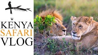 Big Cats and the Big 5 - Maasai Mara Safari Vlog