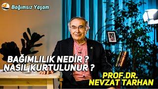 BAĞIMLILIĞA SÜRÜKLEYEN ETKENLER. Prof.dr NEVZAT TARHAN