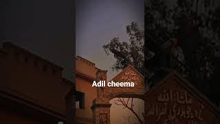 sidhu Moosa wala song Adil cheema .44