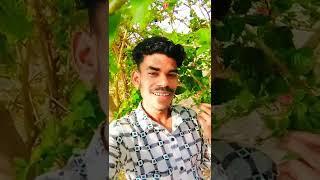 #short# funny #video viral# mr Abhishek fun 