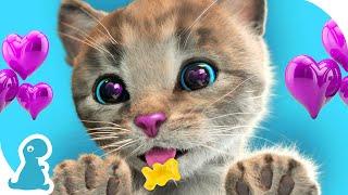 SUPER SPECIAL LITTLE KITTEN ADVENTURE - THE STORY OF A LITTLE KITTEN AND THE ANIMALS GO ON A JOURNEY