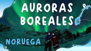 AURORAS BOREALES en Tromsø - Noruega 2024