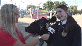 Celebrating the spirit of the Western Idaho Fair | KTVB Day