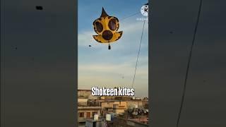 Kite flying,big kite flying,kite shopping,6tawa kites flying, kites,15August kite flying kite lover