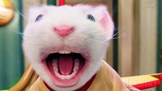 Las 5 veces en las que Stuart Little fue el mejor hermano de todos  4K