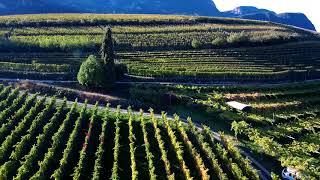 Vigneti di Caldaro Alto-Adige Italia, Xiaomi Mi Drone 4K