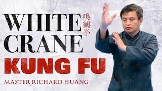 White Crane Kung Fu | Master Richard Huang 黃正斌 | Season 3 Ep 4