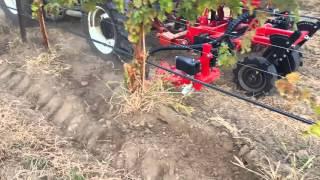 Inter row weeder cultivator for vineyards | ID David