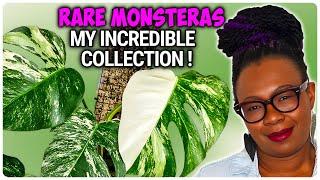 My Incredible Collection of STUNNING Monsteras - You Won't Believe Your Eyes!