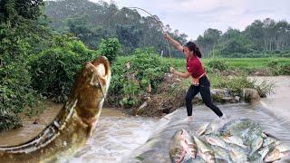 How to catch giant fish in flood water, harvest more bananas to sell at the market, my daily life