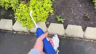 Kiss Your Weeds Goodbye! Ortho GroundClear Review!