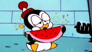 Chilly Willy en Español Perro frio - Capitulos completosDibujos Animados