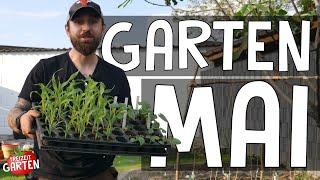 Gartenarbeiten im Mai! | Große Einpflanzung! | Paprikas, Blumen & CO | Freizeit Garten