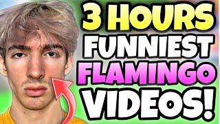 *3 HOURS* OF BEST FLAMINGO FANVIDEOS!