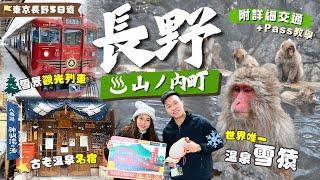 Stunning winter Spot in Nagano️Snow Money Park & sightseeing train! Famous Shibu Onsen Hotels !️