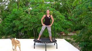 20 Min Beginners / Low Impact Plus Size Rebounding workout on a JumpSport Fitness Trampoline