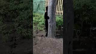 무서운괴물