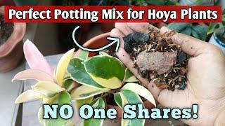 Hoya Plant Care// Potting Mix// All I Do to Make Potting Mix for Hoya Plants