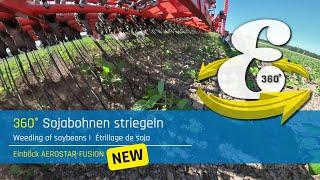 VR 360° | Weeding soybeans | Premium tined weeder AEROSTAR-FUSION | Einböck 360° experience #11