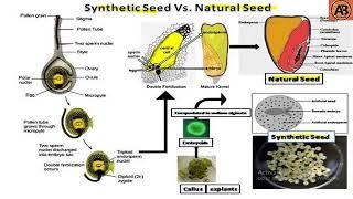 Micropropagation ।। Tissue Culture ।। "Learn with AB Tusar"