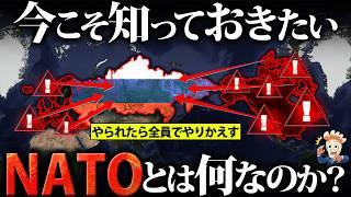 【アメリカ離脱か協調か…】いまこそ知っておきたいNATOとは何なのか？