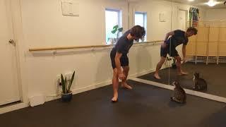 How to wake up your hamstring and back muscles for walking and running | Eccentric Physio