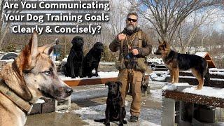 Does Your Puppy Understand What You Expect? | The Importance Of Clear Communication In Dog Training