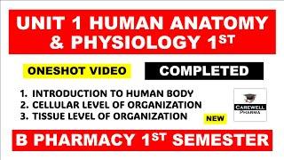 Unit 1 Hap 1 Complete || Human anatomy and physiology 1st semester || Carewell Pharma