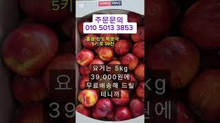 천도복숭아 홍광 5키로 39천 무배입니다 #제철과일 #천도 #복숭아#아삭