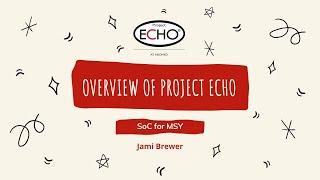 Overview of Project ECHO - Systems of Care for Multi-System Youth