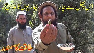 shah balut ke fayde |shah baloot fruit benefits|4 benefits of shah balut|Health Tips By HAKEEM SAJID