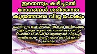 രോഗമില്ലാത്ത ജീവിക്കണമെന്ന ആഗ്രഹം ഉള്ളവർ ഇത് നിത്യജീവിതത്തിലെ ഭാഗമാക്കുക | Malayalam Health Tips