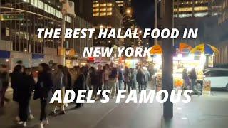 Adel's Famous the Best Halal Food in Manhattan, New York