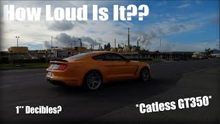 How Loud Is A Catless GT350? *Absolutely Insane*